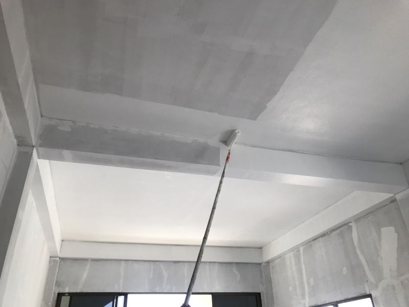 Residential Ceiling Painting